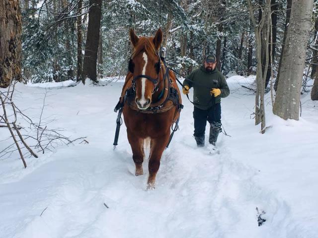 Cornish King's Lighting 