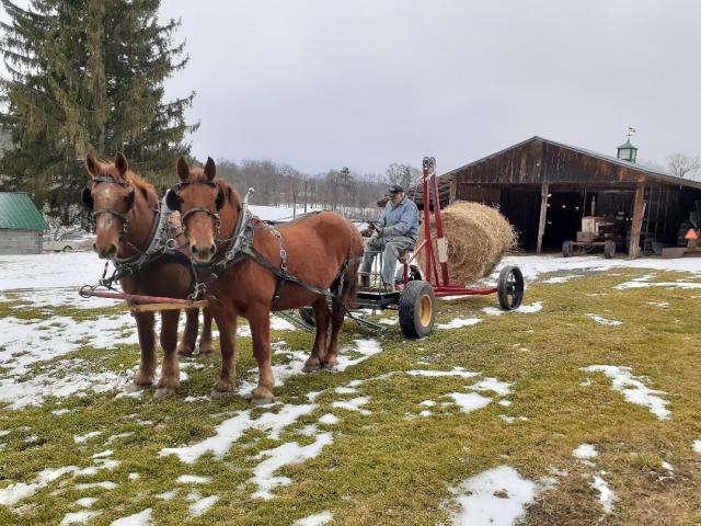 the Hay Feeder that Don Evia Built