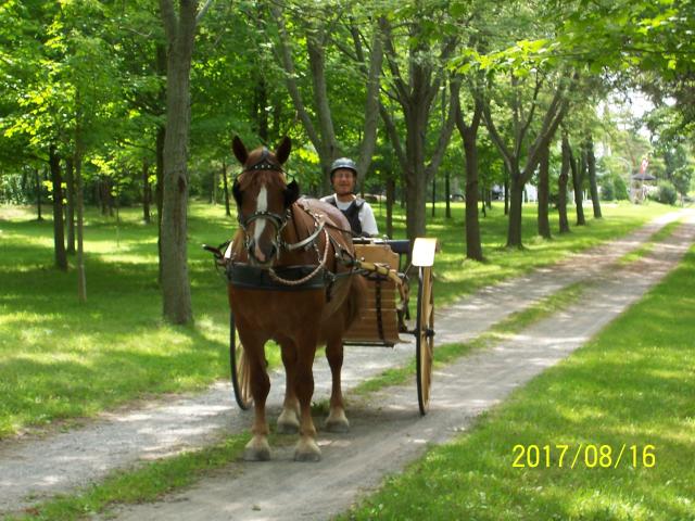 Valan's Lady Catherine