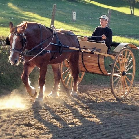 Valan's Lady Catherine