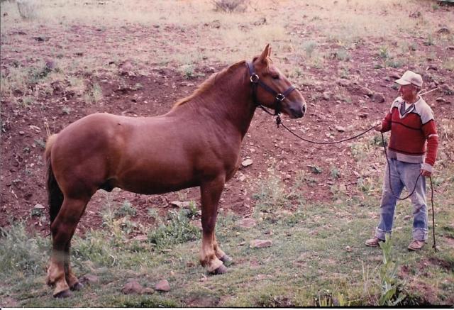 Ruby R Haley 2469-S snap shot