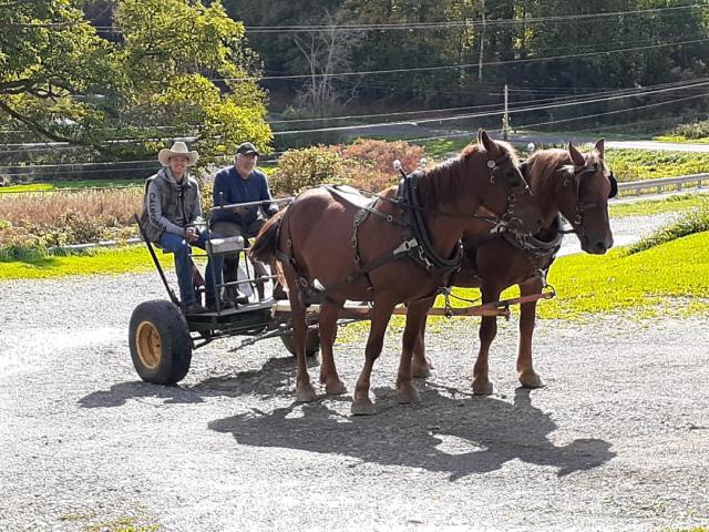 Mill Road Maybell & Mill Road MacKenzie